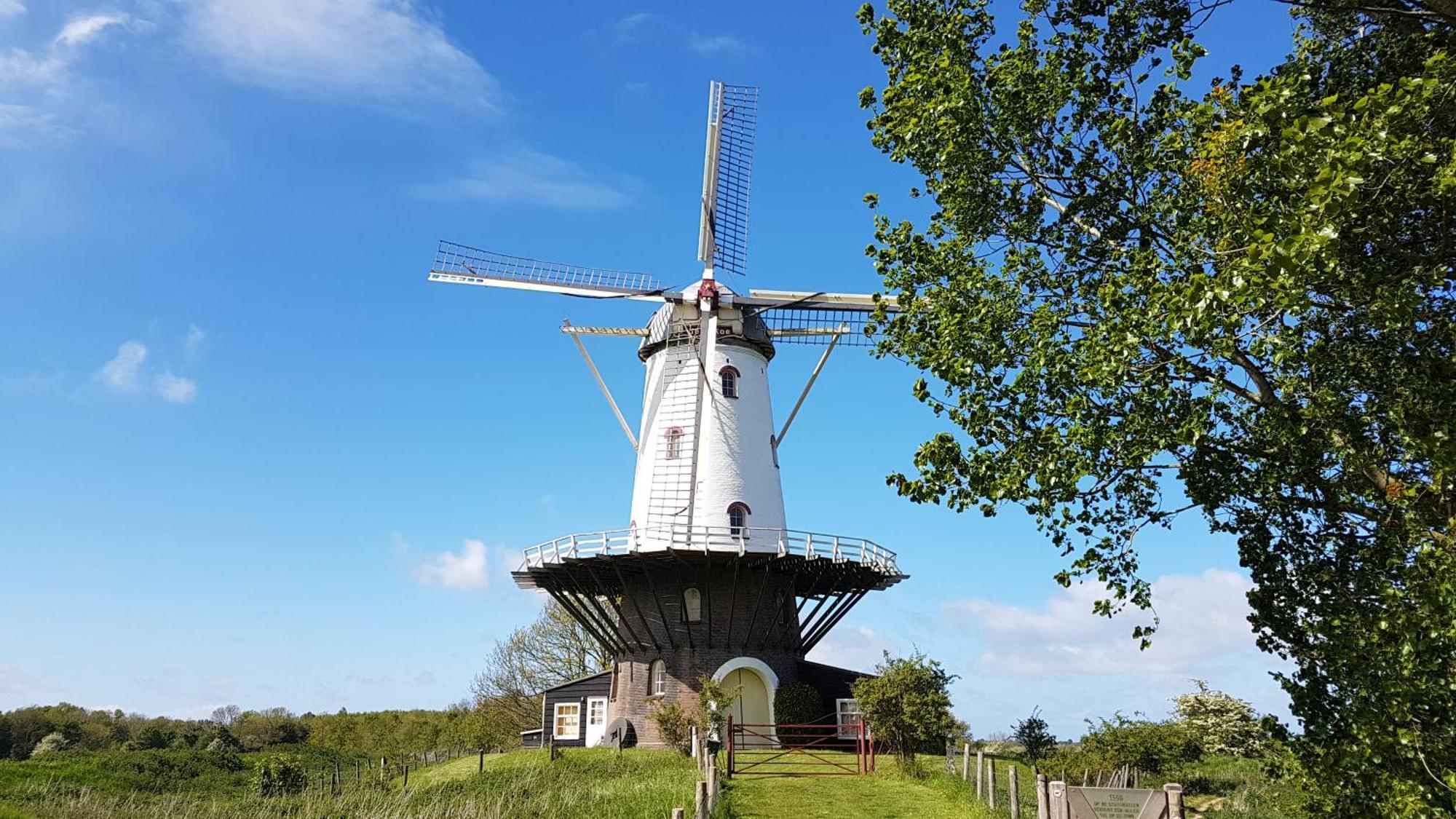 Olmenduin Chalet Olm Zeeland ซีรอสแกร์เกอ ภายนอก รูปภาพ